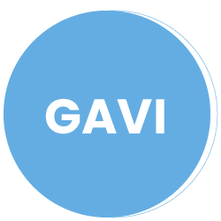Proyecto GAVI